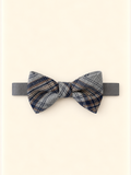 Papillon grigio
