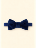 Papillon blu velluto