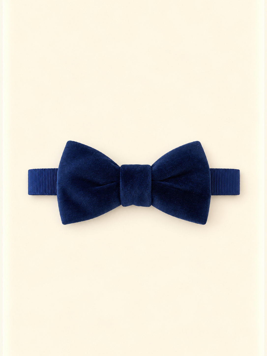 Papillon blu velluto